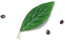 Leaf Footer Image