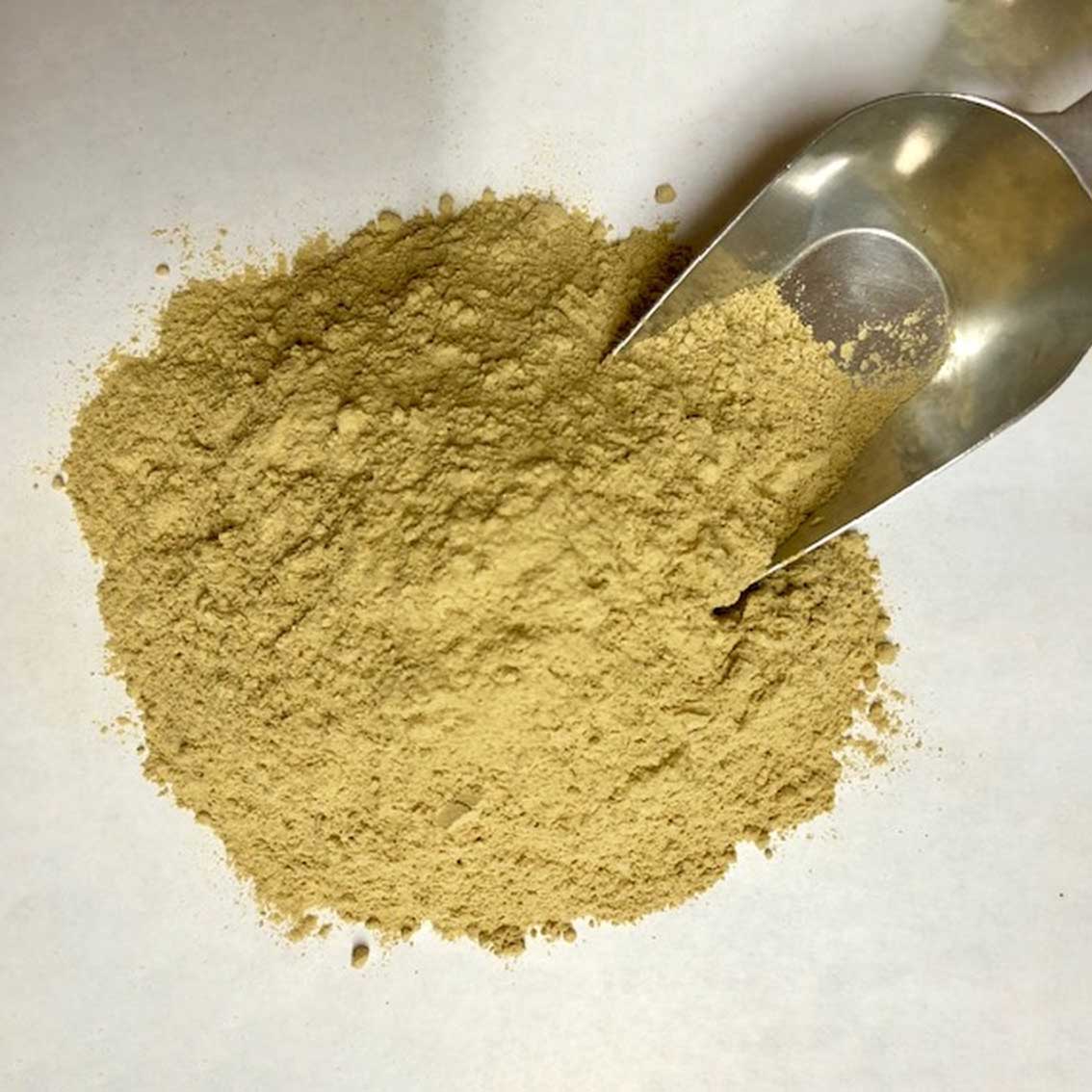 Bitter Melon Powder