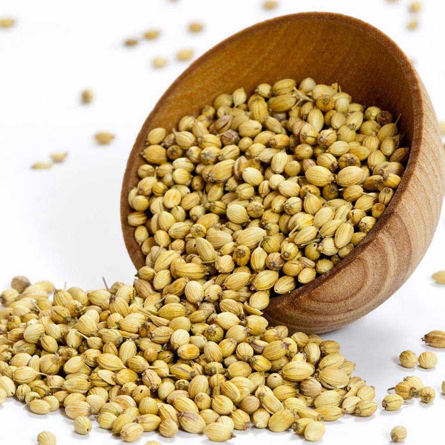 Coriander Seed Whole