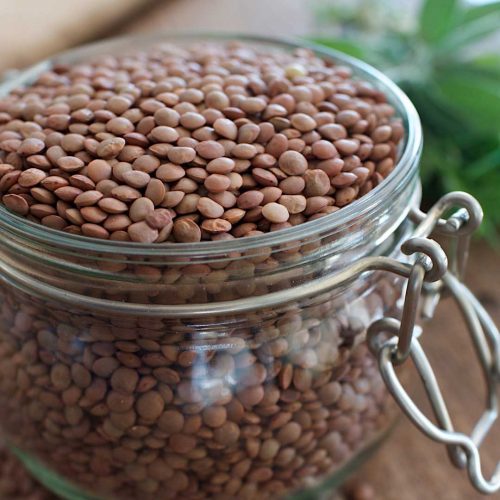 Brown Lentils
